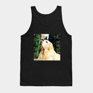 Cool Pet, Puppy Labrador Retriever, Dog T-shirts, Hats, Bags, Stickers, Cups Tank Top